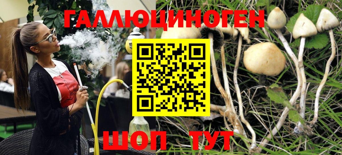 Псилоцибиновые грибы мухоморы  наркотики  Красный Сулин  Вход с VPN 