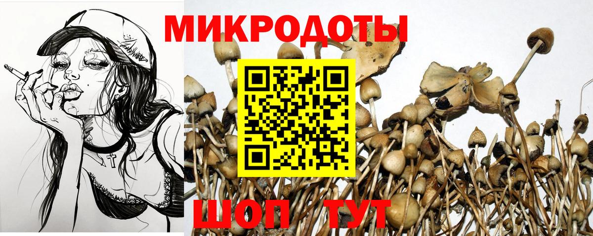 Псилоцибиновые грибы Magic Shrooms Красный Сулин